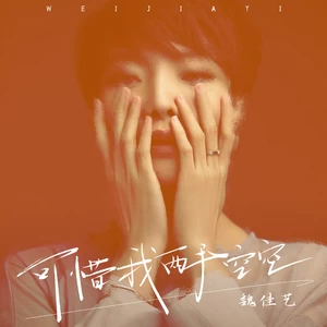 可惜我两手空空